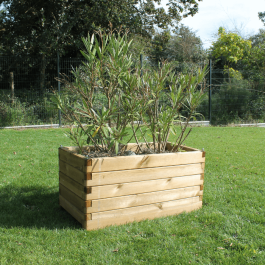 Jardinière Oléa en pin traité autoclave - 100x50cm